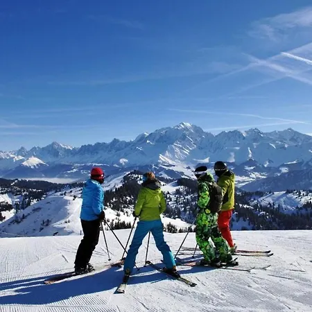 Studio/cabine Avec Mezzanine - Proche Pistes, 5 Pers. - Fr-1-595-17 *